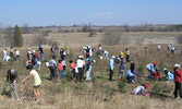Planting Trees in Rouge Valley