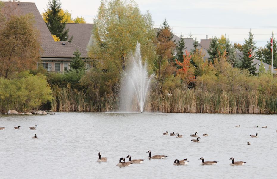 Swan Lake Village, Markham